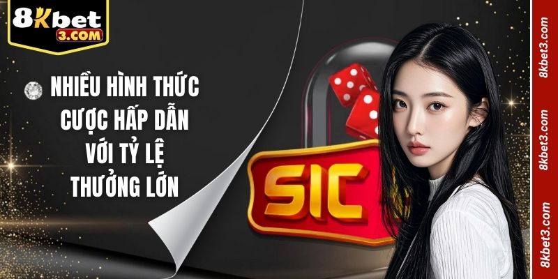Hinh Thuc Cuoc Sicbo Tai K8